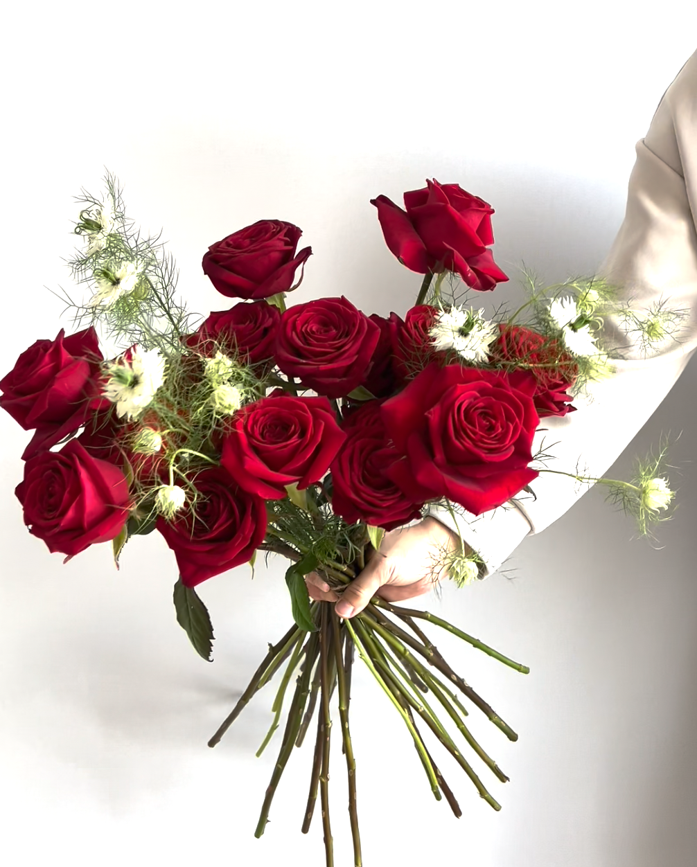 Bouquet of red roses held by a hand on a white background